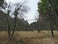 DSC02856